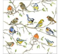 Ambiente Lot de 20 serviettes de table Motif oiseaux 33 cm