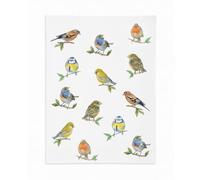 Ambiente Torchon de cuisine 50 x 70 cm 100 % coton Motif oiseaux Printemps été Jardin Espèces d'oiseaux, 17818135
