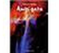 Ambigata tome 2 Tome 2 - Vincent Michel - Atalante - broché - Roman