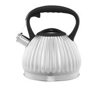 AMBITION Bouilloire en acier inoxydable pour induction 2,5 l Bouilloire Curly avec sifflet Poignée ergonomique Tous types de feux