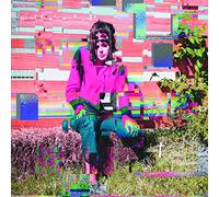 Ambitions of Ambiguity/Vinyle Rose