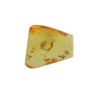 Ambre de la Baltique fossile avec insectes mouches, pierre naturelle, 1,8 g