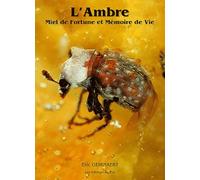 Ambre : Miel de fortune et mémoire de vie
