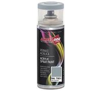 Ambro-Sol V4007001 Vernis peinture Acrylique Multi-Usage, Peinture Brillante pour Intérieur et Extérieur, Adapté a Tous Type de Matériau, Aérosol En Fer-Blanc Recyclable de 400 ml, Gris Argent