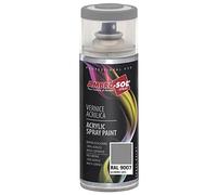 ambro-sol Vernis acrylique multi-usage, 400 ml, Alluminio Grigiastro, 1