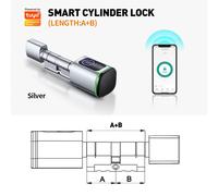 Ambroise Pare: Sa Vie, Son Oeuvre (1509-1590) ...