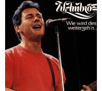Ambros,Wolfgang - Wie Wird des Weitergeh'n [Import]