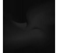 Ambrose Akinmusire - Beauty is Enough