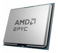 AMD CPU 100-100001478WOF EPYC 4464P 12C 24T 5,4 GHz 64 Mo