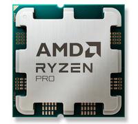 AMD Ryzen 5 PRO 8600G processeur 4,3 GHz 16 Mo L3 Plateau