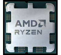 AMD Ryzen 7 7700 processeur 3,8 GHz 32 Mo L2 & L3 Plateau