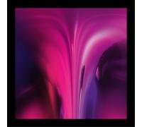 Ame Dream House (Vinyl) 12" Album