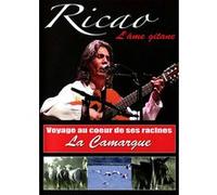 Ame gitane G