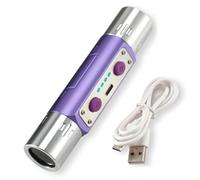 Ameble Lampe Torche Professionnelle pour Pierres précieuses avec lumière UV Double Longueur d'onde (365 nm et 254 nm) pour l'inspection de minéraux et de devises, Charge Rapide USB-C, lumière UV Viol