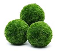Ameble Lot de 3 Boules de Mousse Marimo vivantes pour décoration d'aquarium, Boules d'algues Vertes pour aménagement paysager 'Aquarium, Mousse ' pour 'Eau Douce, Habitat crevett