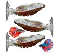 Ameble Lot de 3 cachettes et lit de Poisson Betta en ormeau Naturel avec Ventouse Forte, décor d'aquarium Flottant 2, 76 à 3, 15 Pouces pour réservoirs bêta, crevettes, Petits Poissons