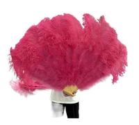 AMEEDA Éventail en Plumes d'oie Grand éventail de Plumes à 13 os, 100CM, 130CM, Pliable à Main, for fête, Carnaval, Spectacle de Danse, décoration(Watermelon Red,100CM 2PCS)