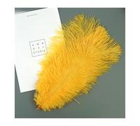 AMEEDA Plume Autruche Grandes Plumes d'autruche de 20 à 25 Cm, 10 pièces, for décoration d'arrière-Plan Mariage, avec Un Design Mural Populaire(077-golden yellow-18)
