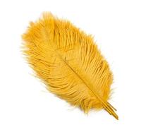 AMEEDA Plume Autruche Plumes d'autruche Blanches 10 pièces/Ensemble, for Artisanat, Bijoux à bricoler soi-même, décoration de Maison, centres Table Mariage(41 Golden,25-30cm 10-12inch)