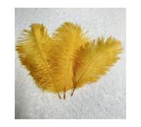 AMEEDA Plume Autruche Plumes d'autruche Blanches et Noires, 100 pièces/Ensemble, 15-40CM, for Artisanat, décoration de Mariage, fête, Carnaval, Plumas(Color01,20-25CM 100pcs)