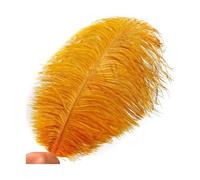 AMEEDA Plume Autruche Plumes d'autruche colorées 20-25cm, 10 pièces, for centres de Table fête Mariage, décorations for la Maison et Artisanat Bricolage, décor Artisanales(Golden)