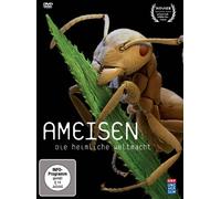 Ameisen-Die heimliche Weltmacht [Import]