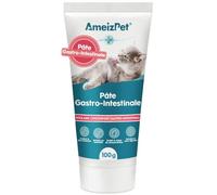 AmeizPet Pâte Gastro-Intestinale pour Chats, Soutien Digestif, 100g | Nourriture Gastro Chat, Électrolytes Chat, Hydratation Chat