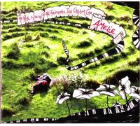 The Real Nature Of The Fantastic Ice Cream Car