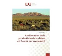Amelioration de la productivite de la chèvre en Tunisie par croisement - Amor Gaddour - Universitaires Europeennes - broché - Etude