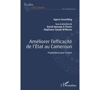 Améliorer l'efficacité de l'Etat au Cameroun Propositions pour l'action - David Abouem A Tchoyi - L'harmattan - broché - Essai