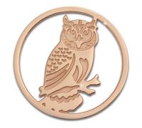 Amello Owl Coins Rose 30 Mm Incrustation Pièce De Monnaie Pour Femme En Acier Inoxydable Plaqué Or Esc520e