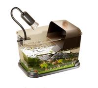 Aménagement d'un Aquarium à guppys: des Aquariums Polyvalents for la décoration intérieure