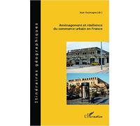 Jean Soumagne – Aménagement et résilience du commerce urbain en France – Étude – Broché