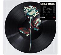 Amends [Picture Disc LP #1]