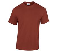 American Apparel Demi-camions sur t-shirt en jersey fin - marron - X-Large
