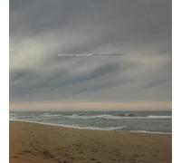 American Aquarium - Chicamacomico (2022 Indie Green/Black Smoke LSR0016)