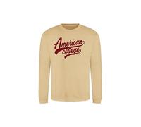 AMERICAN COLLEGE USA Sweat COL Rond Mixte Enfant GARÇONS ET Filles, Beige, 16 Ans