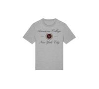 AMERICAN COLLEGE USA Tee Shirt Gris 10 Ans Decontracte