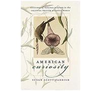American Curiosity