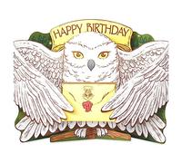 American Greetings Carte d'anniversaire pop-up Harry Potter (remplie de magie)
