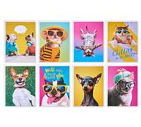 American Greetings Lot de 48 cartes vierges amusantes avec enveloppes pour toutes les occasions, chiens et chats