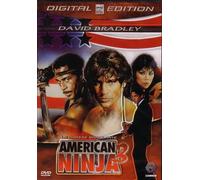 American Ninja 3