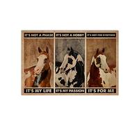 American Paint Horse Poster vintage en métal avec inscription It's Not A Phase It'S Not A Hobby 20,3 x 30,5 cm