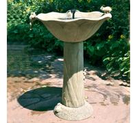 American Pie [Import USA Zone 1]