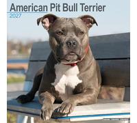American Pit Bull Terrier 2027 Calendar | Square Wall Calendar | Dog Breed Gift | Plastic Free Packaging | by Avonside Publishing
