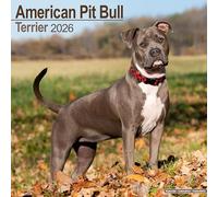 American Pit Bull Terrier Calendar 2026 Square Dog Breed Wall Calendar - 16 Month