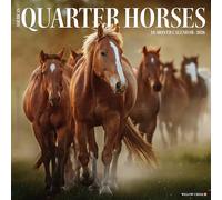 American Quarter Horses 2026 12 X 12 Wall Calendar
