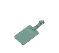 American Tourister Étiquettes à bagages - Pour valises et sacs, avec sangle ajustable, carte d'adresse incluse, Lot de 2, Vert iceberg (Iceberg Green)