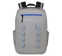 American Tourister Sac à dos Colourdry – Compartiment pour ordinateur 15,6" – 24 L – Glacial Silver