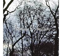 American Wrestlers - I Can Do No Wrong/The Rest of You 7 39 [Import]